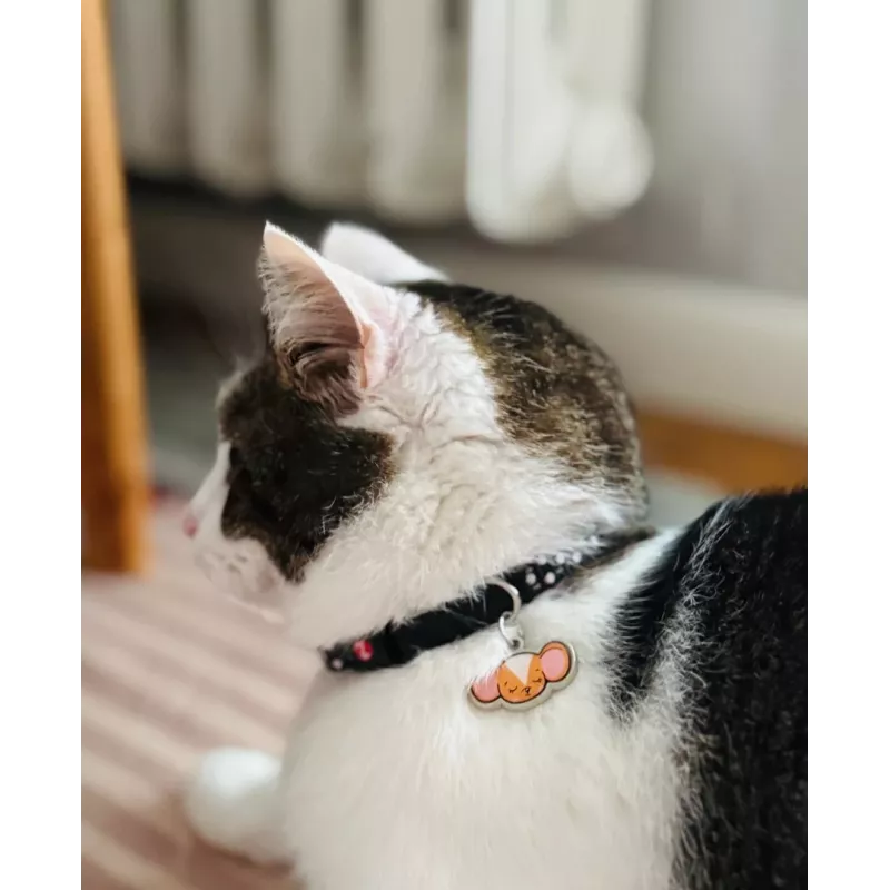 ZOLUX Chatouille negro - collar para gatos