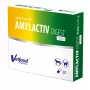 Enzimas digestivas Vetfood AMYLACTIV DIGEST MINI – complemento alimenticio, 30 cápsulas para gatos y perros
