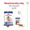 Royal Canin Maxi Adult 5+ pienso seco para perros, 15 kg
