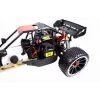 Buggy Amewi 