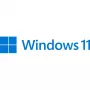 Microsoft Windows 11 Pro 64-Bit español (FQC-10552)