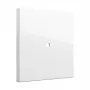 Tecla de interruptor Gira tecla marco control System 55 blanco puro (modelo 329003) para marcos System 55