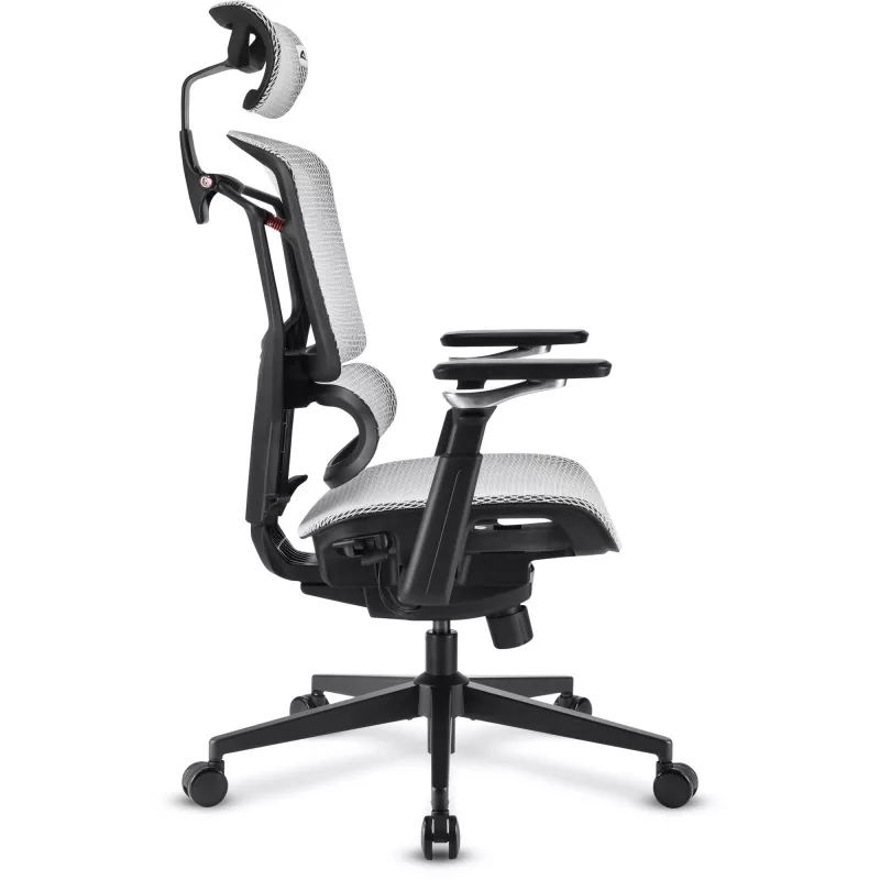 Silla de oficina Sharkoon OfficePal C50M — asiento acolchado, respaldo de malla, negra, respaldo 49 × 63 cm, anchura de asiento 50 cm