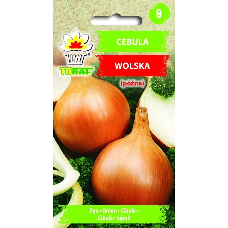 Semillas de hortalizas cebolla Wolska Toraf, paquete de 5g