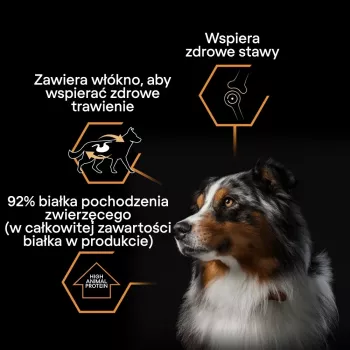 PURINA Pro Plan Everyday nutrition todas las tallas Adult pavo en gelatina - comida húmeda para perros - 400g