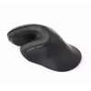 Ratón Gembird MUSW-ERGO-03 hogar diestro RF inalámbrico óptico 1600 DPI