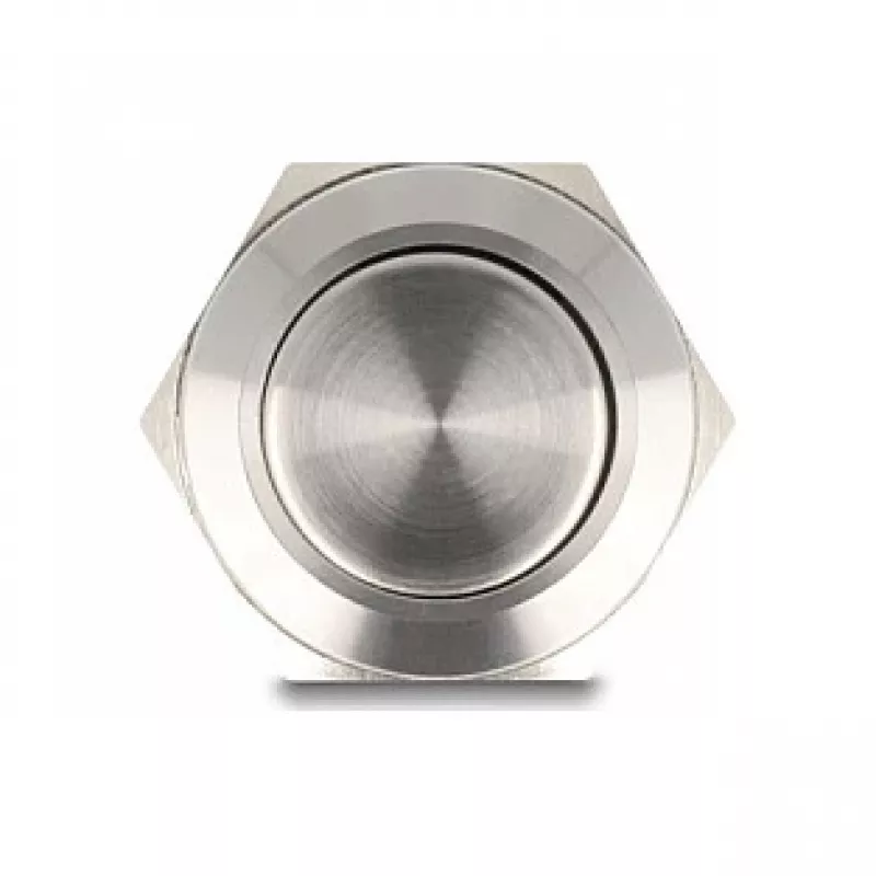 Interruptor pulsador DeLOCK 22040 2P níquel acero inoxidable 250V 5A