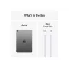 Apple iPad 11