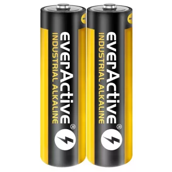 Pila alcalina desechable everActive EVLR6S2IK AA 1,5 V — pack de 40
