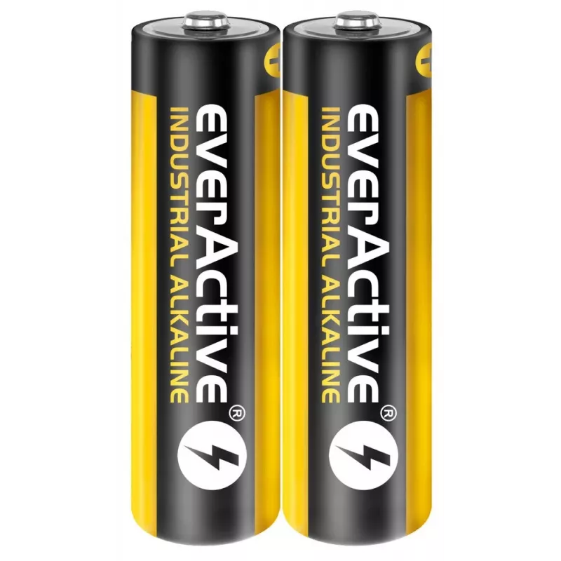 Pila alcalina desechable everActive EVLR6S2IK AA 1,5 V — pack de 40