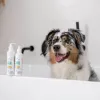 Acondicionador VETEXPERT Clinic Care Hypo & Omega – acondicionador para perros y gatos – 150 ml