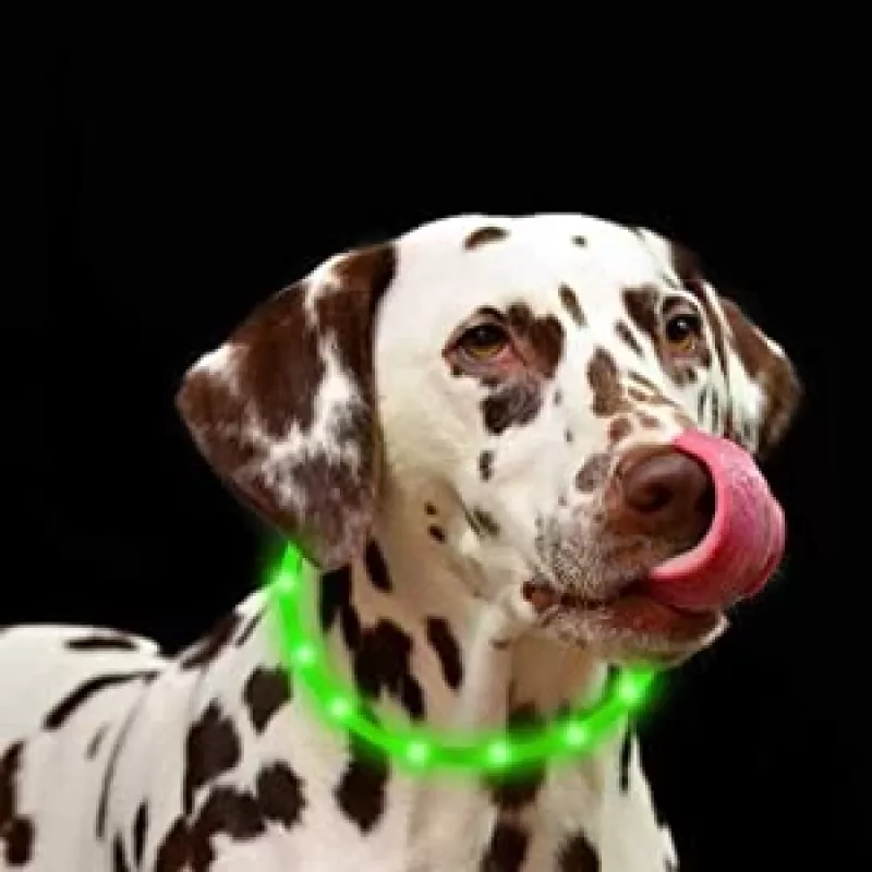 Collar LED Anicoll verde para perros y gatos modelo iluminación recargable