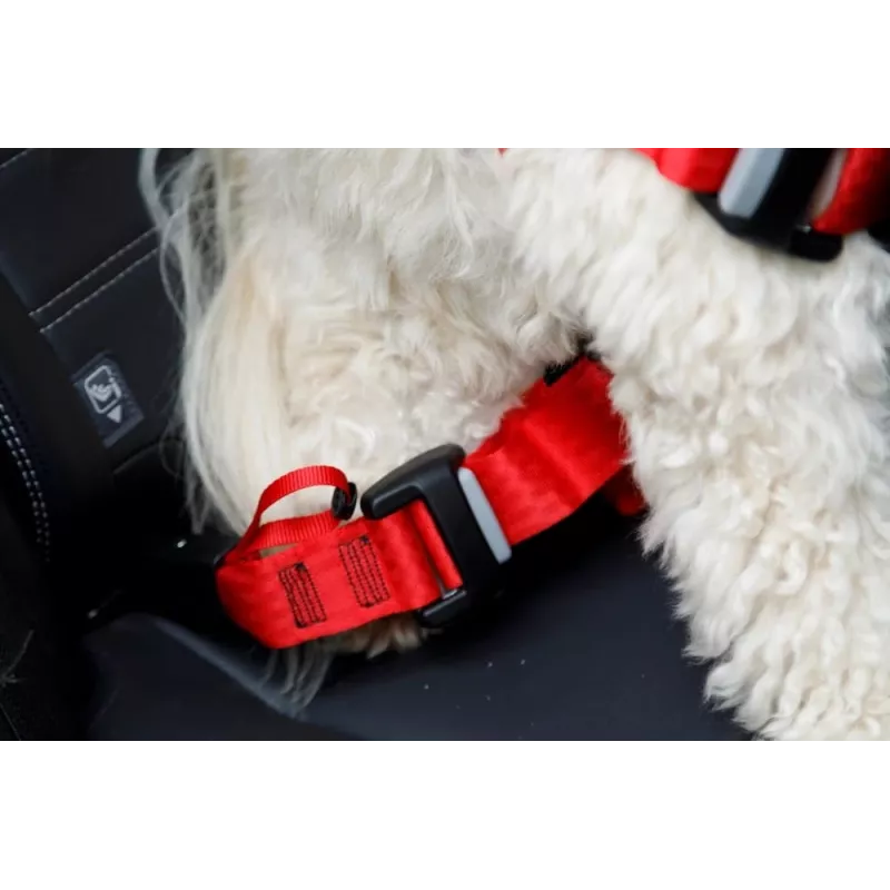 Arnés para perros ZOLUX TRAVEL SAFE S, talla S, rojo