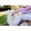 VIRBAC MOVOFLEX croquetas blandas articulares para perros talla M, complemento de apoyo articular