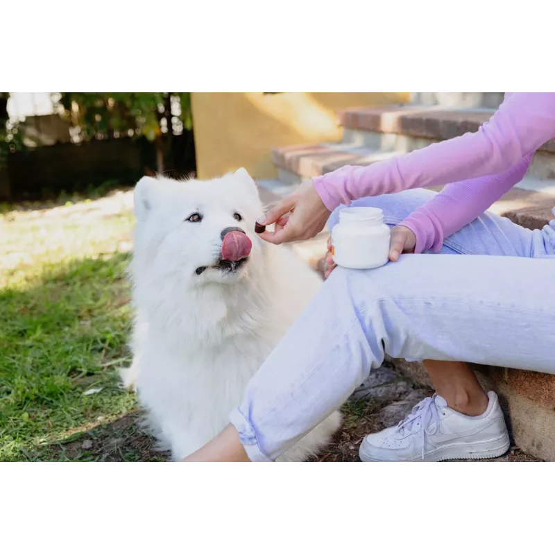 VIRBAC MOVOFLEX croquetas blandas articulares para perros talla M, complemento de apoyo articular