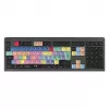 Teclado Logickeyboard LKB-PPROCC-A2M-UK USB QWERTY Inglés Negro (LKB-PPROCC-A2M-UK)