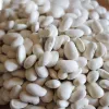 PNOS judía seca Iglomska semillas, 50 g