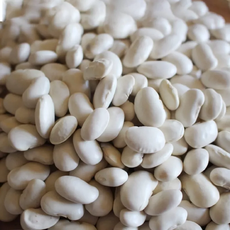 PNOS judía seca Iglomska semillas, 50 g