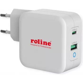 ROTRONIC-SECOMP Roline - Fuente de alimentación - 65 vatios - 3,25 A - PD, QC 3.0 - 2 puertos de salida (USB, USB-C)