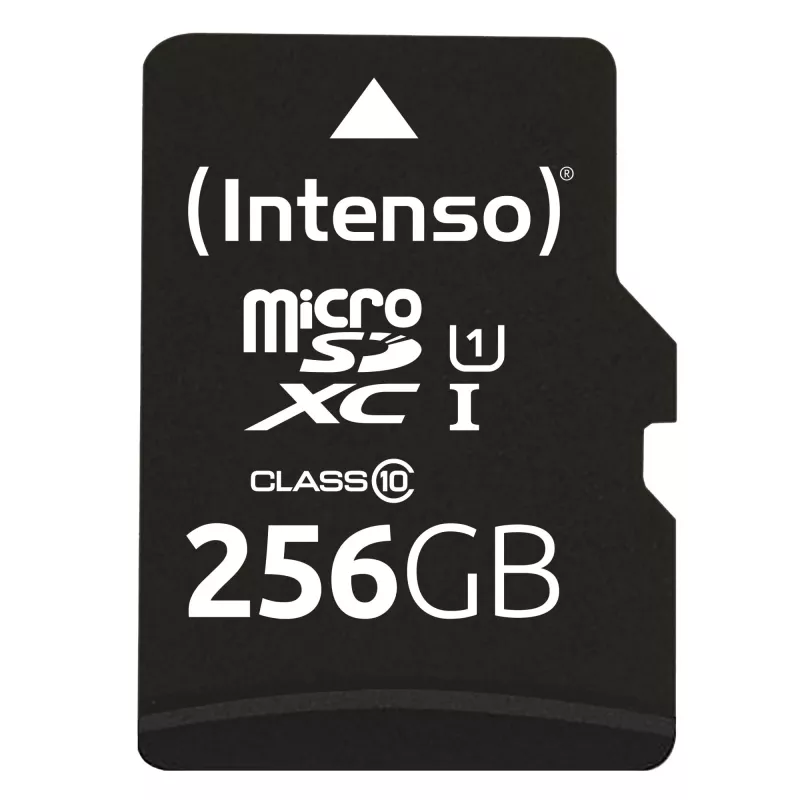 Memoria flash Intenso 256GB UHS-I tarjeta MicroSD