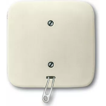 Busch Jaeger 2CKA001315A0191 interruptor eléctrico interruptor de tirar blanco (2CKA001315A0191)