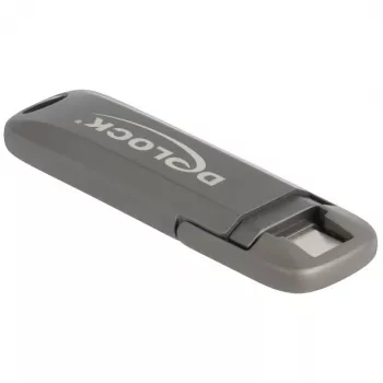 Memoria flash USB DeLOCK 54012 256 GB USB Type-C gris