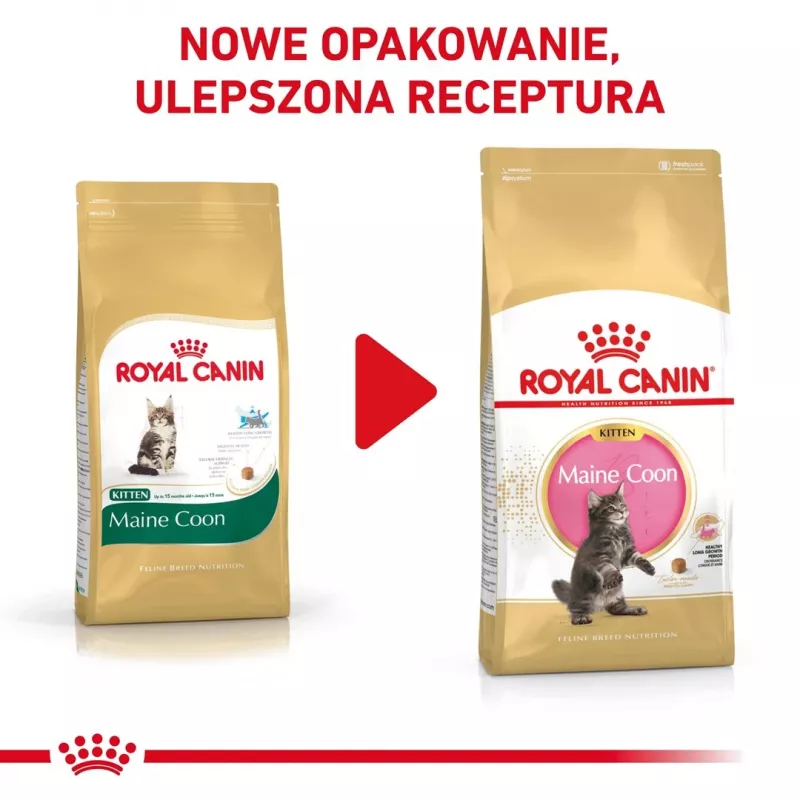 Comida seca para gatos Royal Canin Maine Coon Kitten 2 kg — aves, proteína 36%, grasa 23%