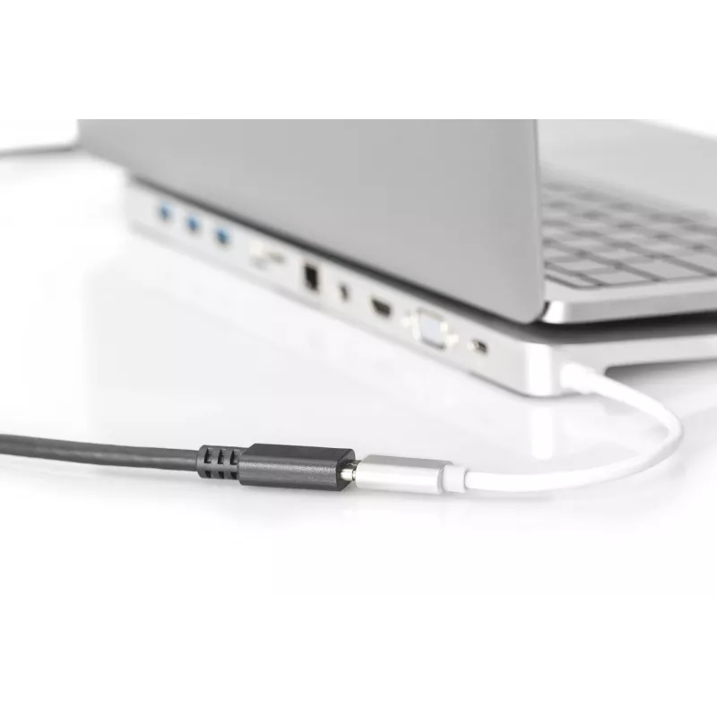 Cable alargador USB Type-C Digitus AK-300210-015-S