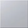 Siedle BM 611-0 SM - Placa de montaje - plata - Siedle - 99 mm - 26 mm - 99 mm (200016941-01)