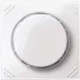 Merten MEG5252-0319 Interruptor eléctrico blanco (MEG5252-0319)
