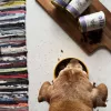 OLLO Umami pato y pavo - pienso húmedo para perros - 850g