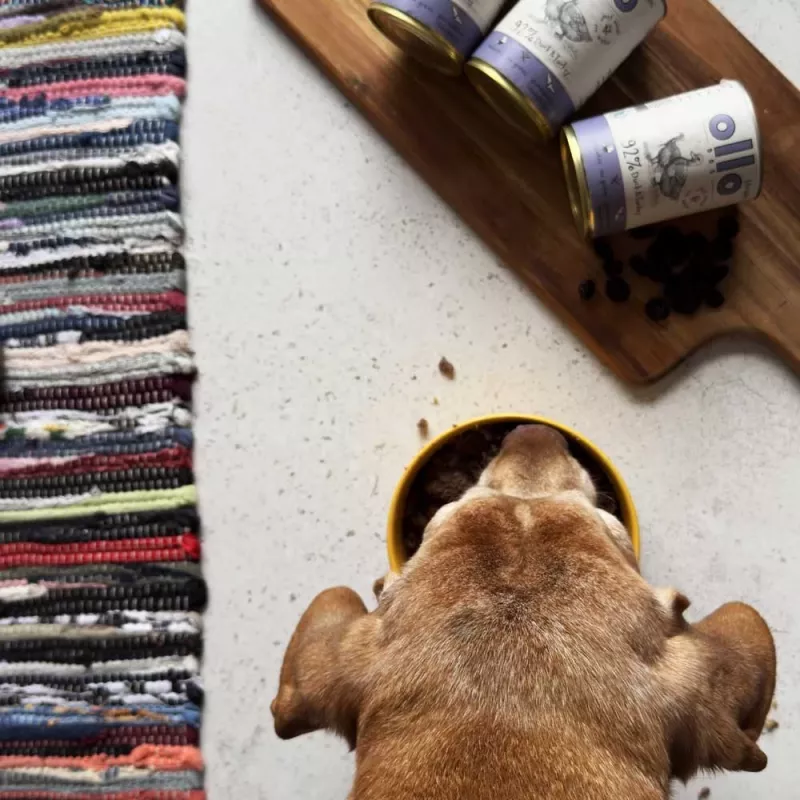 OLLO Umami pato y pavo - pienso húmedo para perros - 850g