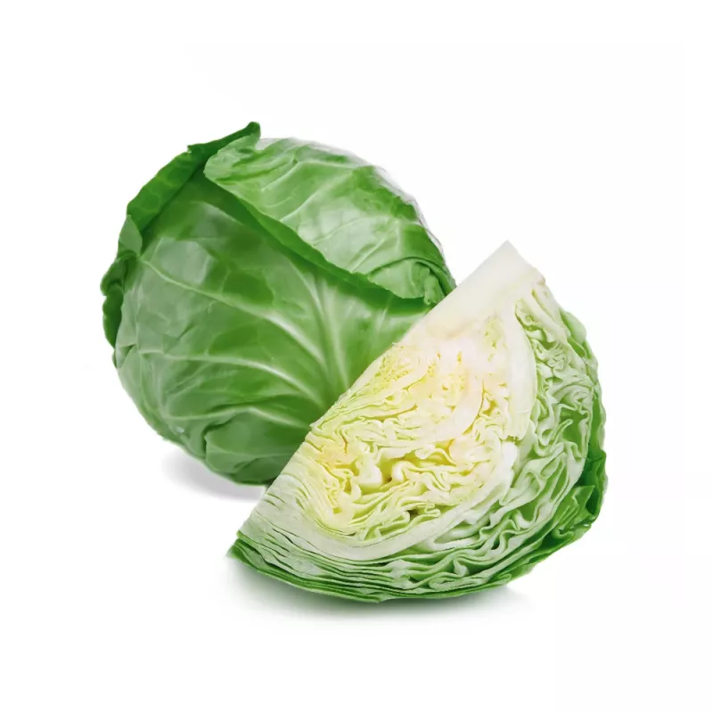 PNOS col blanca Roem Van Enkhuizen 2 semillas de hortalizas, 2 g