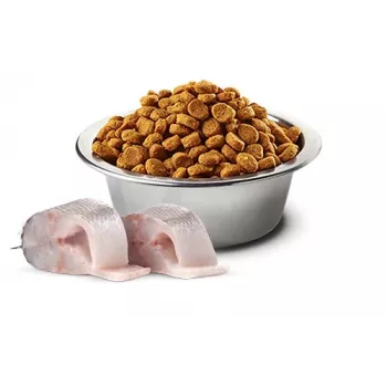 Pienso seco para perros Farmina N&D Sea Bass Spirulina Fennel Adult Mini 2 kg — receta de pescado para perros adultos pequeños, 23 % proteína, 18 % grasa