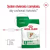 ROYAL CANIN Mini Ageing Adult +12 - Pienso para perros - 3,5 kg