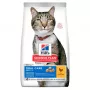 HILL'S SP Adult Oral Care Chicken - pienso para gatos - 1,5 kg