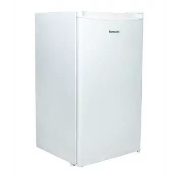 Frigorífico-congelador Ravanson LKK-90E, de pie 91 l totales (frigorífico 81 l, congelador 10 l), blanco, clase de eficiencia energética E