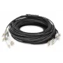 Cable breakout Digitus DK-2433CU030BK-BBB 30 m OM4 12 fibras LC/UPC
