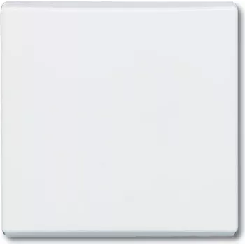 BUSCH JAEGER 2106-32 - blanco - Busch-Jaeger - 70 mm - 70 mm - 1,3 cm - 1 unidad