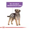 Royal Canin Mini Sterilised pienso para perros adultos de razas pequeñas tras la esterilización, 1 kg