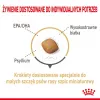Comida seca Royal Canin Pomeranian Adult 3 kg – fórmula para razas pequeñas para pomeranias adultos