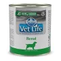 FARMINA Vet Life Canine Renal - Alimento húmedo para perros - 300 g