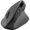 Ratón SPEEDLINK SL-630019-RRBK RF Inalámbrico USB Type-A Óptico 1600 DPI