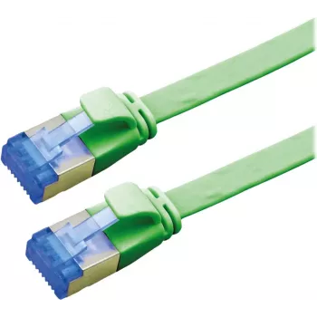 VALUE Cable de conexión Cat.6A (clase EA) FTP, extraplano, verde, 2 m (21.99.2142)