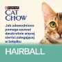 CAT CHOW Hairball Control Pollo judías verdes en salsa 85 g