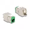 Módulo Keystone DeLOCK 88116 plano verde RJ-45 10 uds.