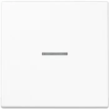 Tapa de interruptor para placa de pared JUNG LS101KO5WW