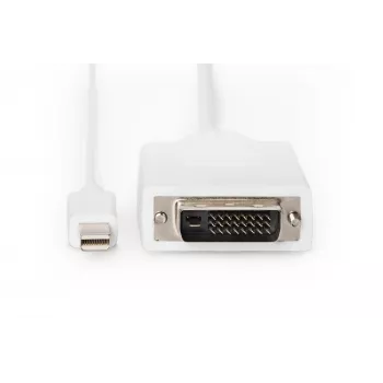 DIGITUS ASSMANN - Cable adaptador - Mini DisplayPort (M)