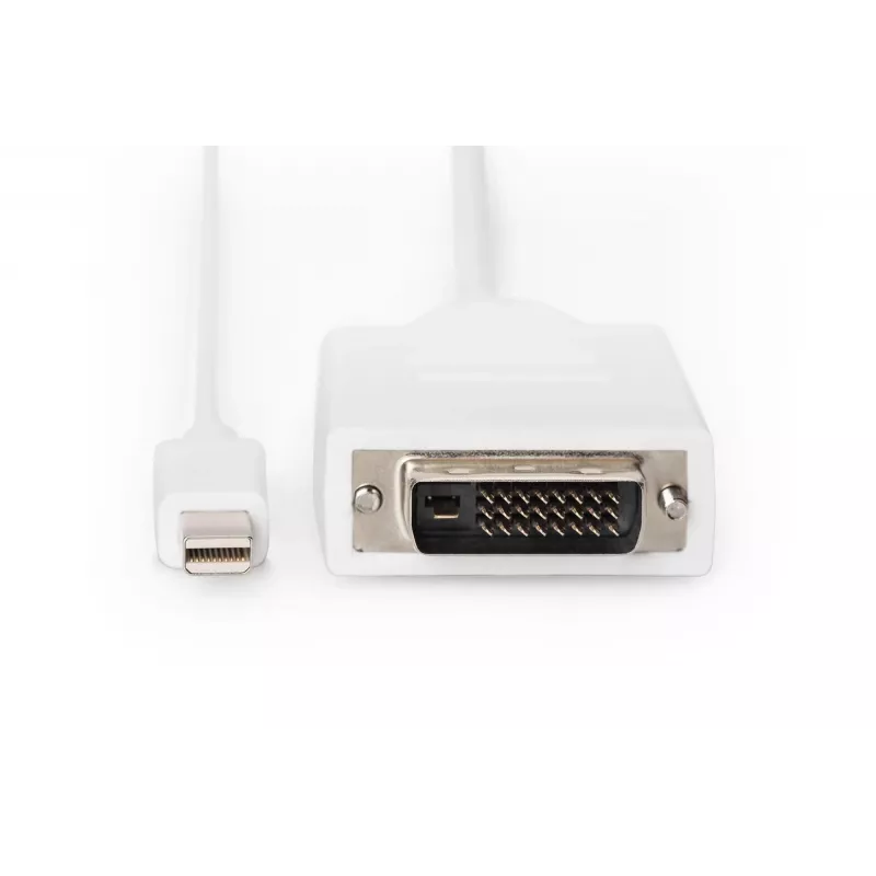 DIGITUS ASSMANN - Cable adaptador - Mini DisplayPort (M)