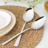 Set de cucharas de servir Salter BW09649 – 2 piezas de acero inoxidable, aptas para lavavajillas
